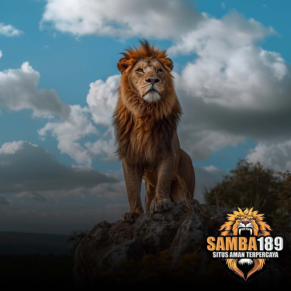 samba189-main-img